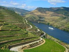 Douro quer ser Capital Europeia da Cultura